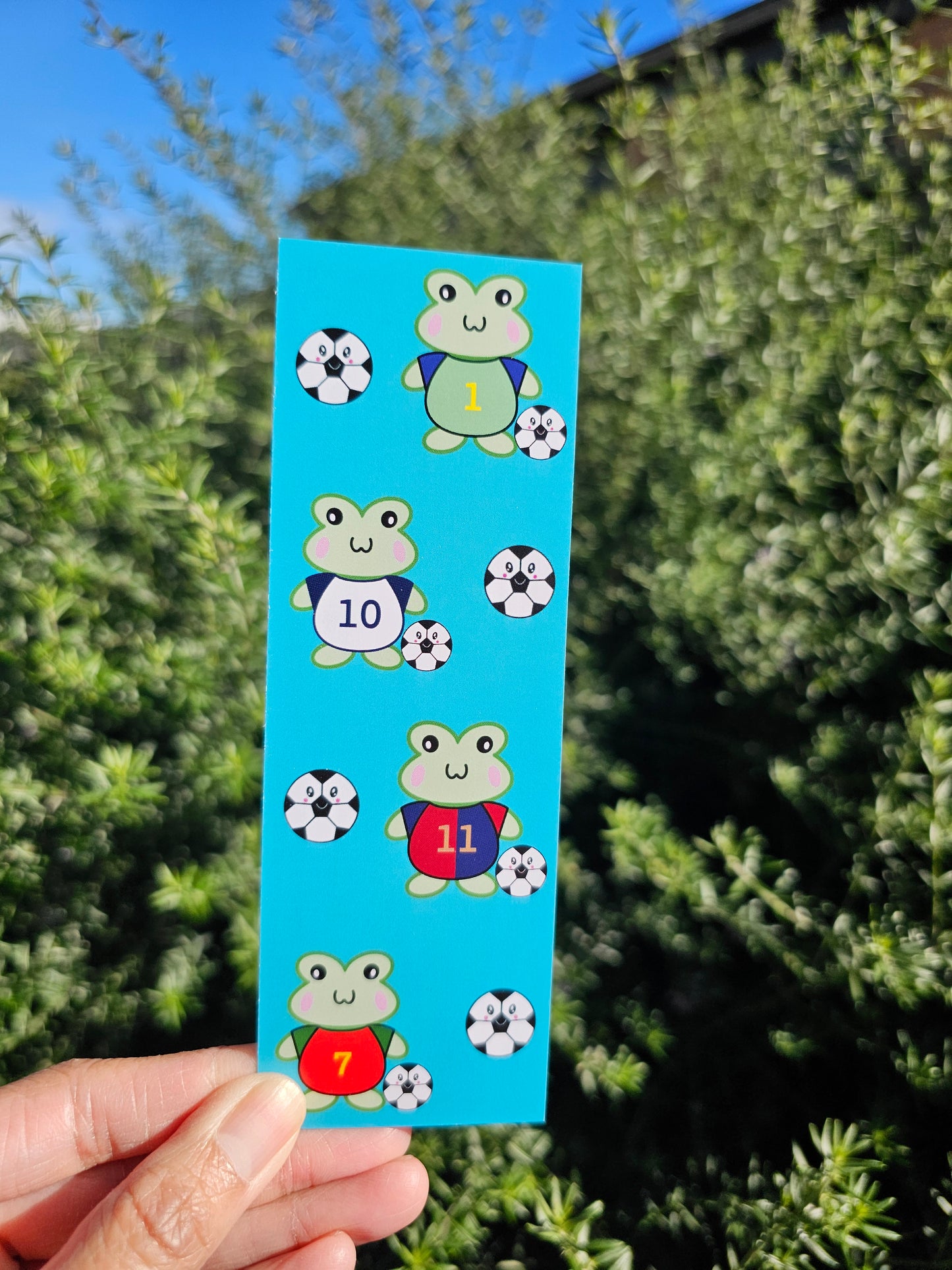 Soccer Froggo Frogz