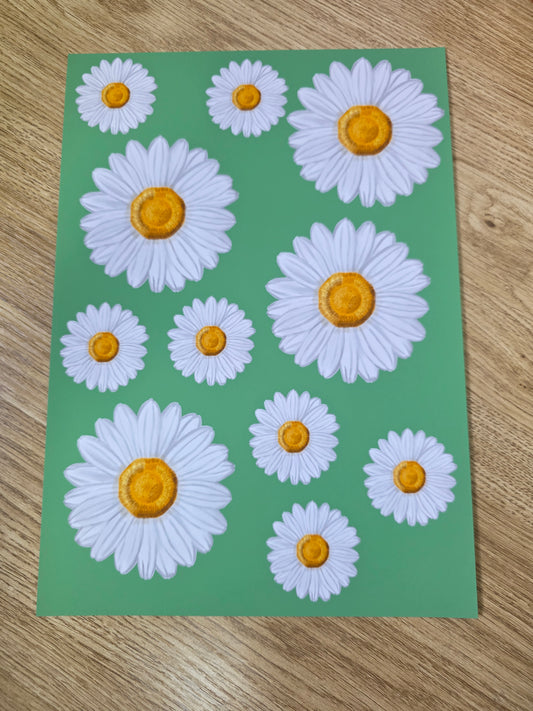White daisies A4 artprint