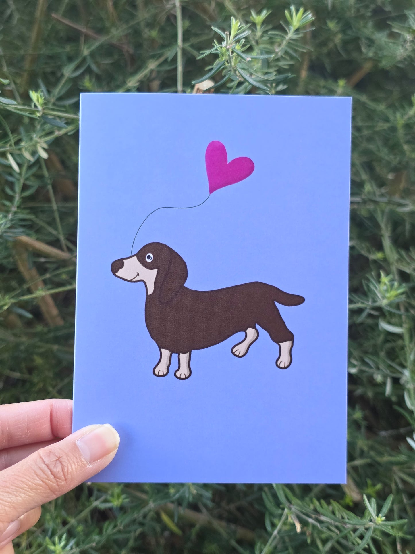 Doxie Greeting card