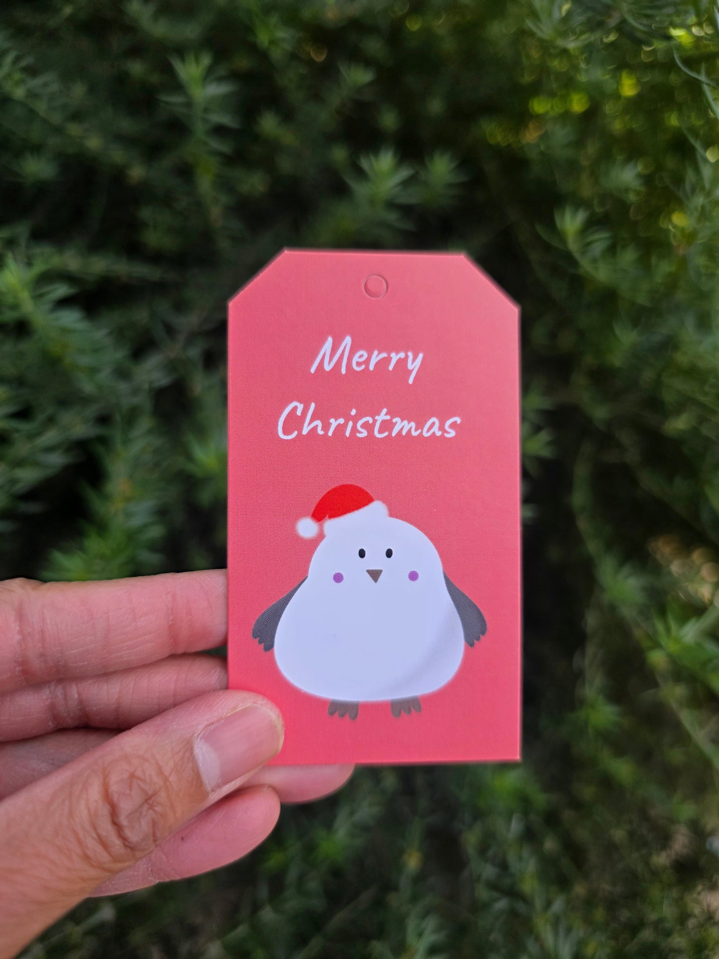 Snowie gift tag