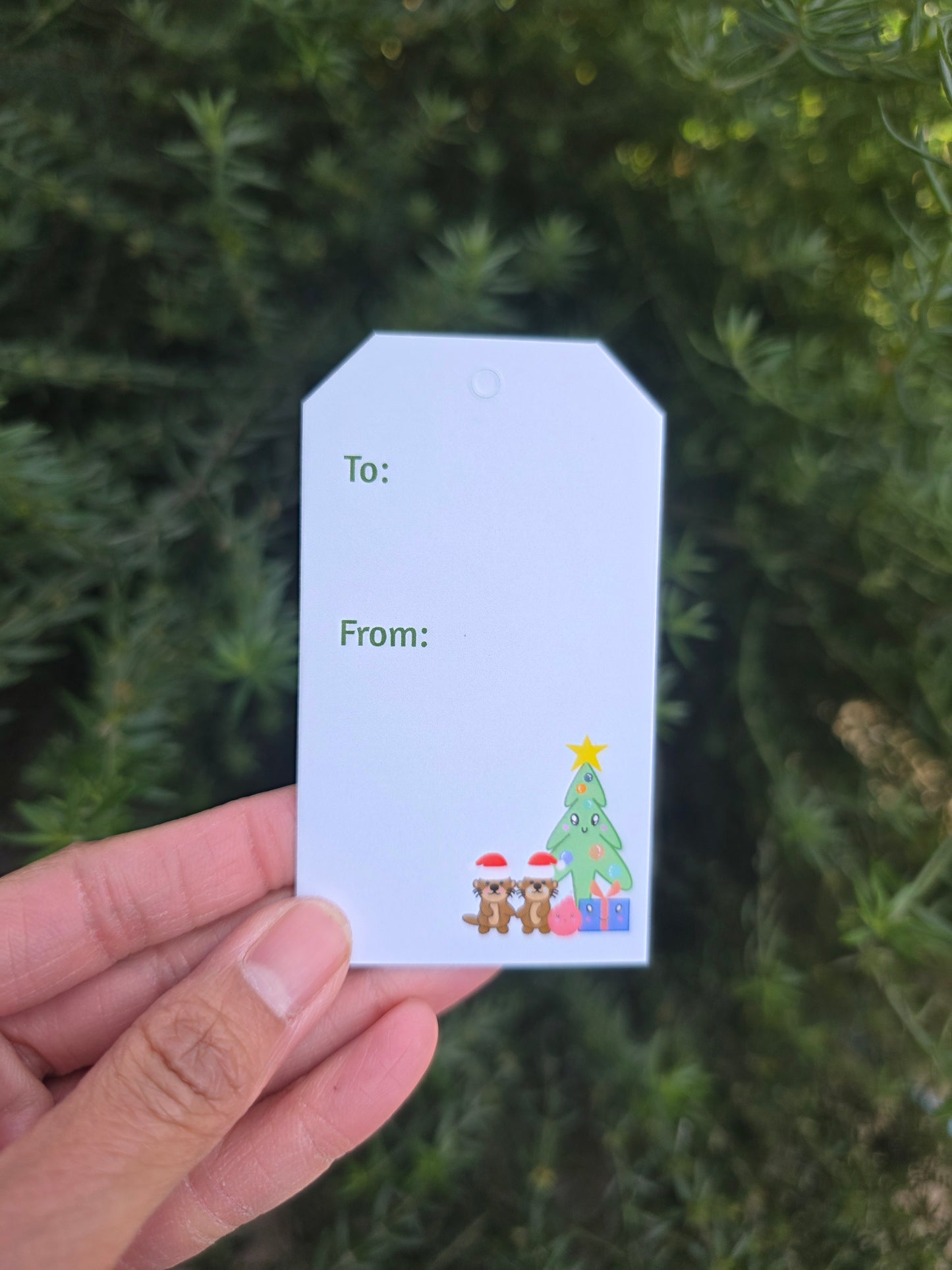 Otter duo Christmas gift tag