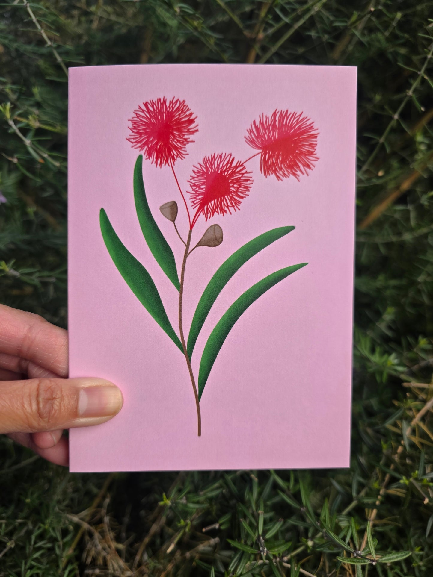 Eucalyptus Flower Card