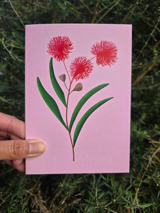 Eucalyptus Flower Card