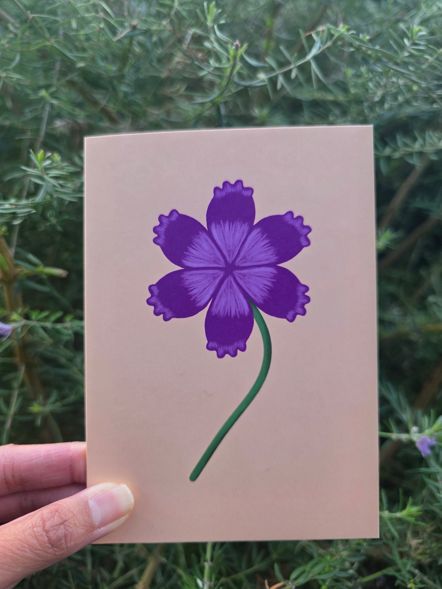 Purple flower card