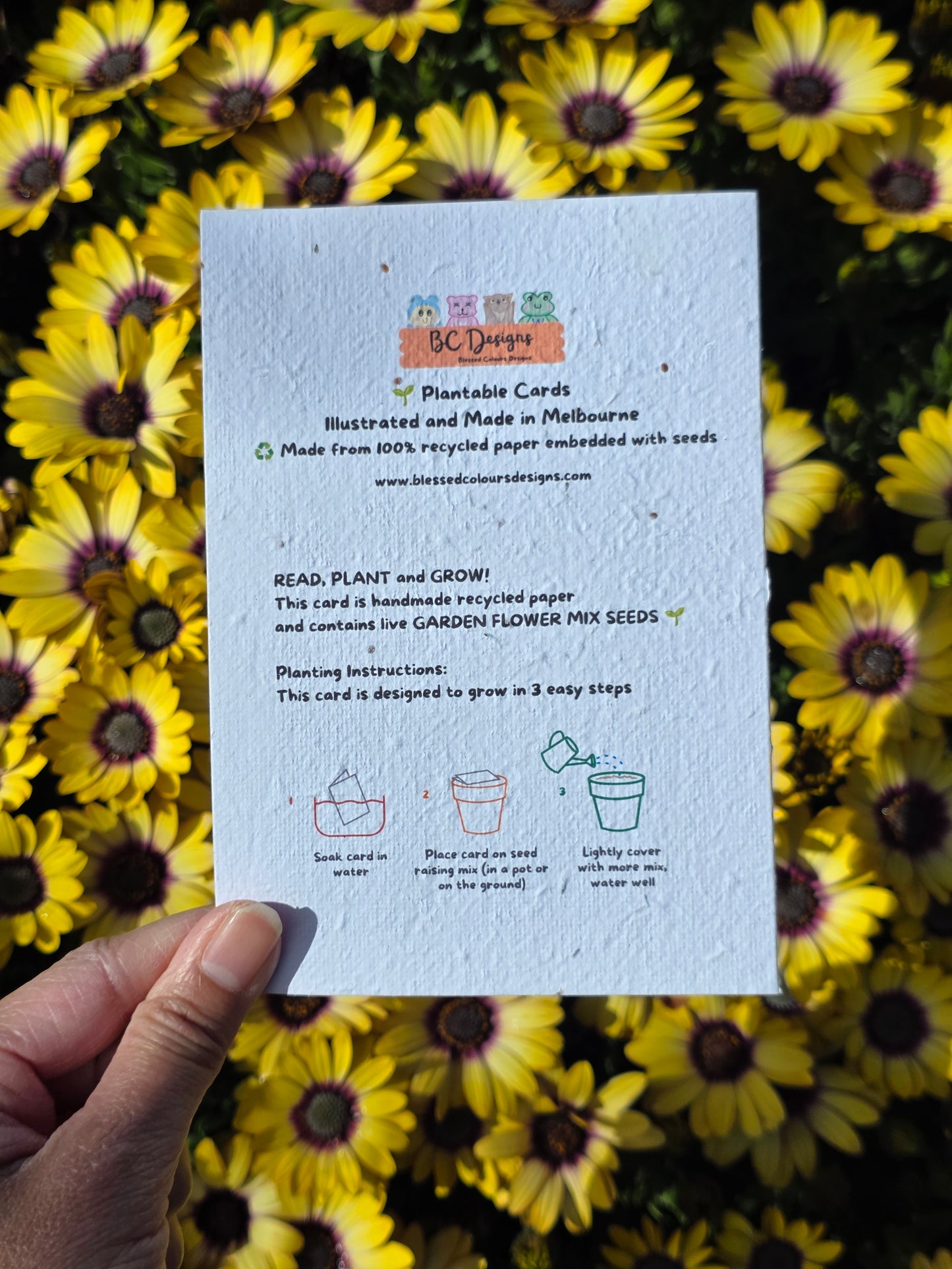 Yellow Flower Birthday Seeded card
