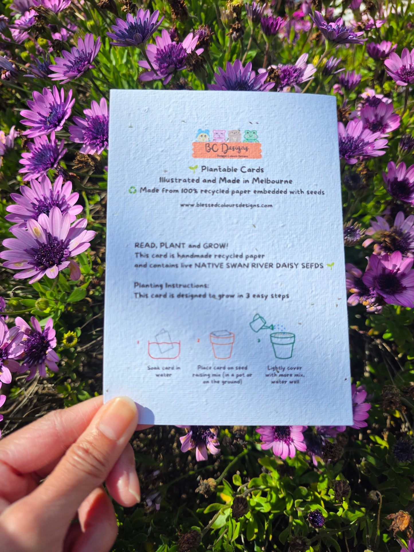 Oops a Daisy seeded card