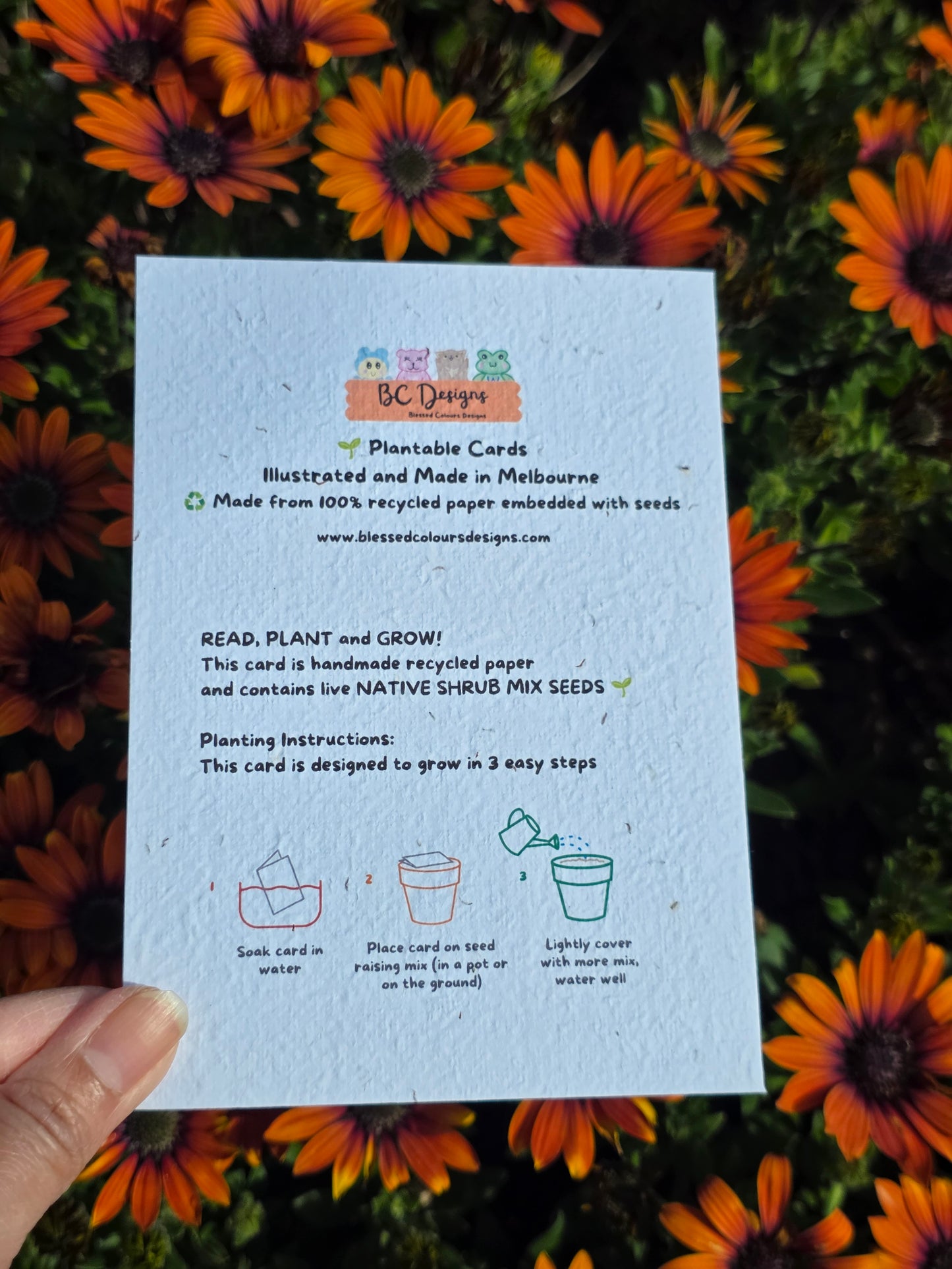 Red Eucalyptus flower seeded card