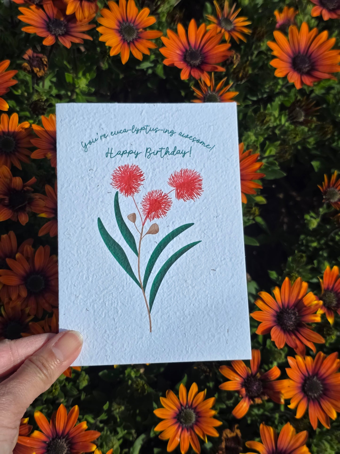 Seeded Spring Cards Complete Set of 5