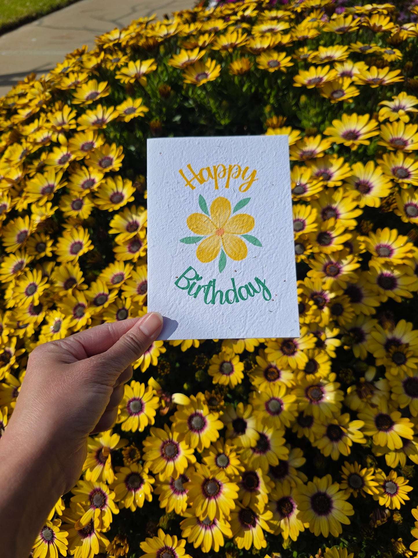 Seeded Spring Cards Complete Set of 5