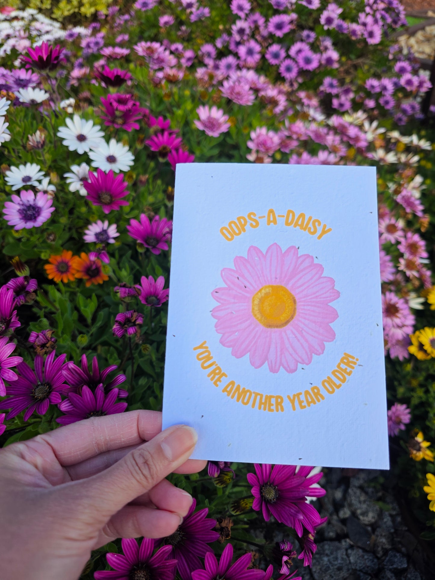 Oops a Daisy seeded card