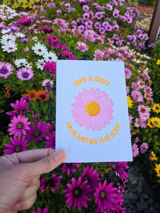 Seeded Spring Cards Complete Set of 5