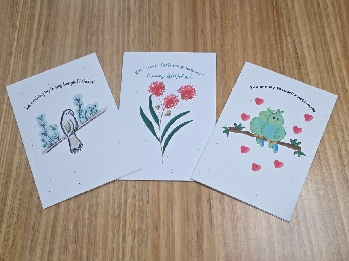 Mystery Seeded Cards 3-Pack