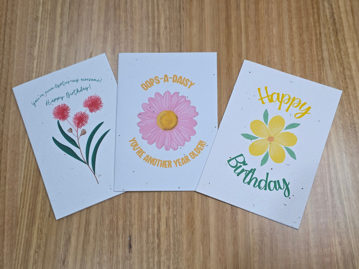 Mystery Seeded Cards 3-Pack
