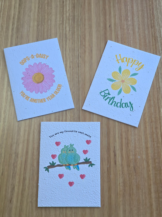 Mystery Seeded Cards 3-Pack